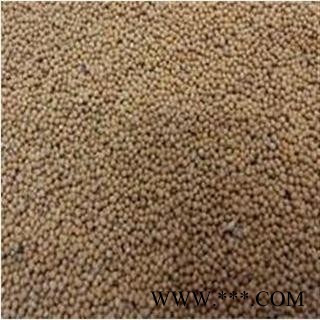 白芥子 统 产地 安徽省亳州市谯城区图2