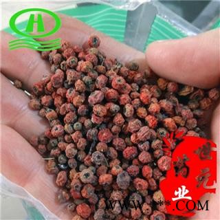 世元药业 赤阳子 正品 火棘 纯阳子 红把果 救军粮 红子刺 吉祥果图2