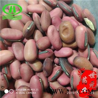 世元药业 红刀豆 魔豆 正品 挟剑豆 野刀板藤 葛豆图2