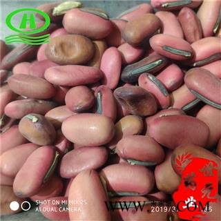 世元药业 红刀豆 魔豆 正品 挟剑豆 野刀板藤 葛豆图1