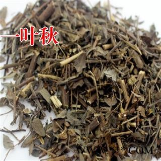 瑞森药材行一叶萩 一叶秋 小粒蒿 横子 粉条 老鼠牙 马扫帚牙 小孩拳图2