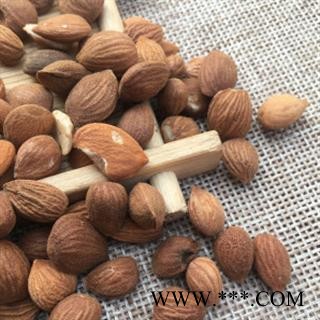 安祁名药桃仁 山桃仁图2