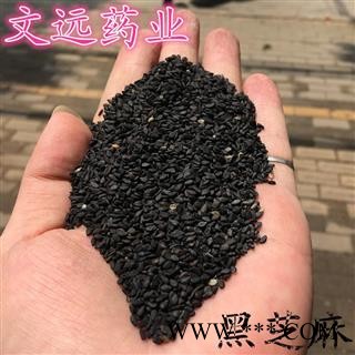 黑芝麻 统装  芝麻 产地 河南省图2