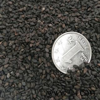 黑芝麻 统装  芝麻 产地 河南省图3