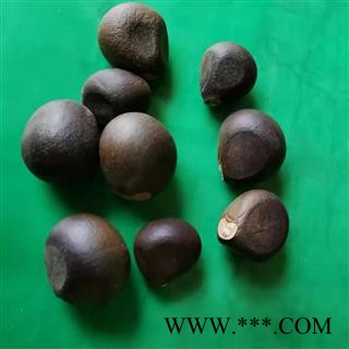 九盛堂中药材文冠果 文冠木 文官果 土木瓜 温旦革子图3