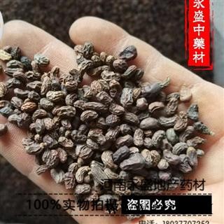 女贞子 女贞子腰果净货 产地 河南省南阳市