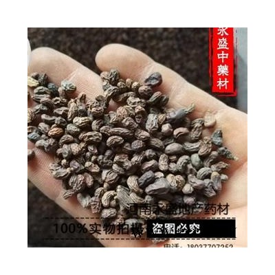 女贞子 女贞子腰果净货 产地 河南省南阳市