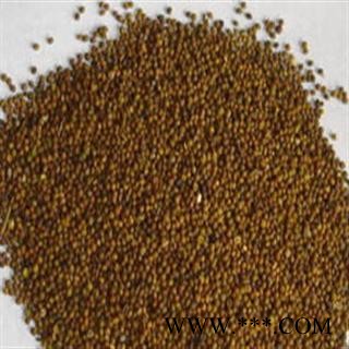 菟丝子 统 产地 内蒙古自治区包头市昆都仑区 库存 480公斤可售图2