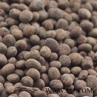 急性子 统 产地 安徽省亳州市谯城区图2