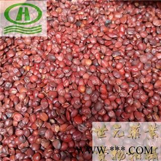 世元药业 酸枣仁 国产正品 生枣仁 山枣仁 酸枣子 棘仁图1