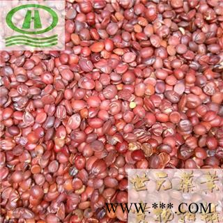 世元药业 酸枣仁 国产正品 生枣仁 山枣仁 酸枣子 棘仁图2