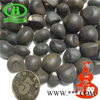 世元药业 文冠果 正品 文冠木 文官果 土木瓜 温旦革子图2