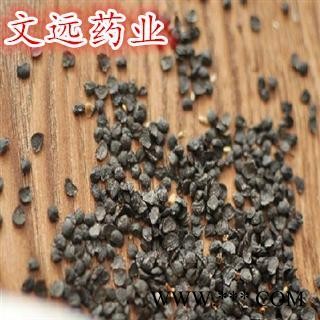 韭菜子 选 正品韭菜籽 产地 河南省图2