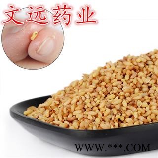 柏子仁 柏子仁精选货 无壳  产地 山东省淄博市市辖区图3