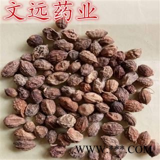 益智仁 益智统货 产地 广西壮族自治区图3