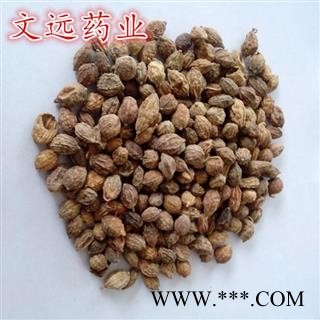 益智仁 益智统货 产地 广西壮族自治区图2