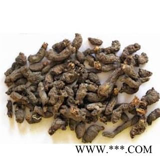 天葵子 中药 紫背天葵 天葵草 千年老鼠屎 夏无踪 散血球 天葵根图3