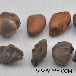 马槟榔 马金囊、水槟榔、紫槟榔 统 产地图3