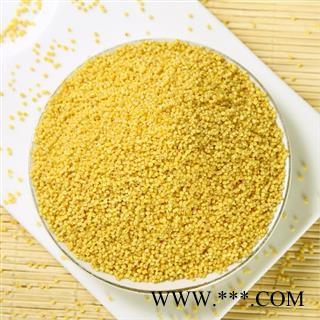 双鹏药材行 北秫米  秫米 黄小米 北秫米 北秫米 黄米 糯秫 糯粟 黄糯 产地 山东省图3