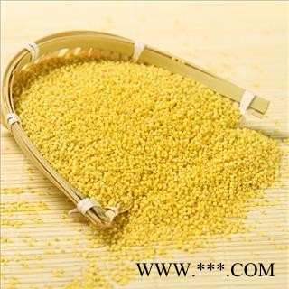 双鹏药材行 北秫米  秫米 黄小米 北秫米 北秫米 黄米 糯秫 糯粟 黄糯 产地 山东省图4