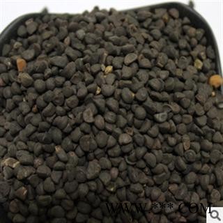 二丑 黑丑 统 产地 安徽省亳州市谯城区图3