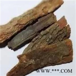 诺源药材行中药材优质香樟木 樟木皮图2