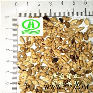 世元药业 石榴子 正品 石榴籽 专业批发供应药店诊所药批各类优质中药材图1