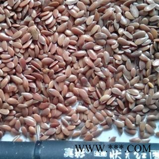 世元药业 亚麻子 正品 胡麻子 优质 精选 亚麻籽图2