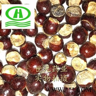 世元药业 龙眼核 桂圆核 龙眼子 龙眼籽 大核 元肉骨 正品图1