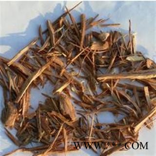 世元药业 文冠木 文冠果木图2