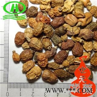 世元药业 红豆蔻 优质 大良姜 山姜 红蔻 红寇 红扣图2