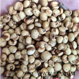 安祁名药薏苡仁 薏米 熟薏苡仁图2