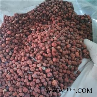 安祁名药正品火棘 赤阳子 救军粮   救济粮 吉祥果图3