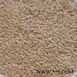 安祁名药优质黄瓜子 无硫新货颜色好可打粉图2