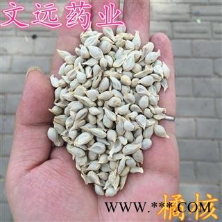 橘核 正品 橘核仁   桔核 产地 四川省图2