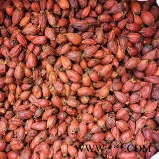 【满包邮】栀子 统个 规格齐全 量大从优【专业批发 品种齐全】图3