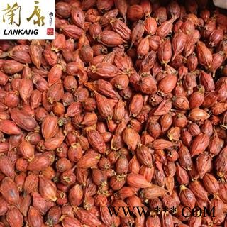 【满包邮】栀子 统个 规格齐全 量大从优【专业批发 品种齐全】