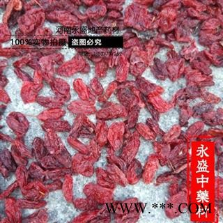 山茱萸 山茱萸精选货 产地 河南省南阳市