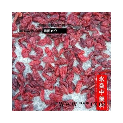 山茱萸 山茱萸精选货 产地 河南省南阳市