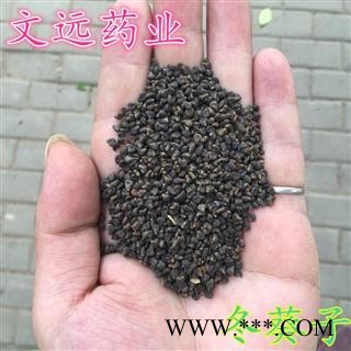 冬葵子 文远药业 批发 零售各种中药材 花茶 矿石  产地 河南省南阳市市辖区图2