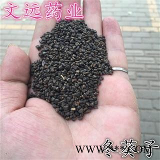 冬葵子 文远药业 批发 零售各种中药材 花茶 矿石  产地 河南省南阳市市辖区图3