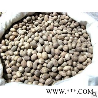 肉豆蔻 统 产地 海南省海口市市辖区图2