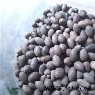 苦石莲子 统 产地 玉林药市图3