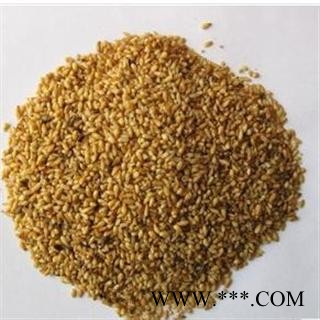 柏子仁 优 产地 山东省枣庄市薛城区 双鹏药材行 可提供打粉图2