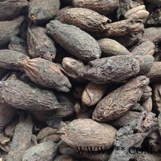 母丁香 母丁香统货 产地 广西壮族自治区 买好药找娟子图2