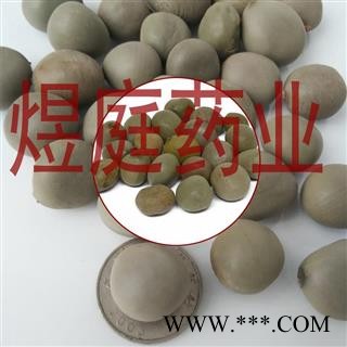 煜庭药业 大托叶云实 云实子图4