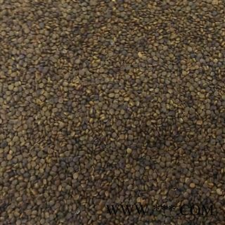 娟子中药 沙苑子 沙苑子新货净货 产地 陕西省汉中市图2