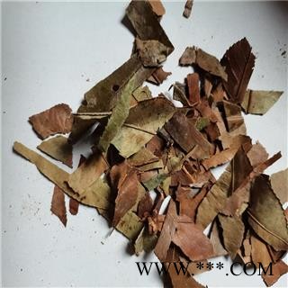 石楠叶 产地 江苏省常州市图2