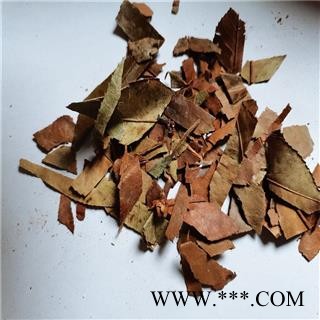 石楠叶 产地 江苏省常州市图3