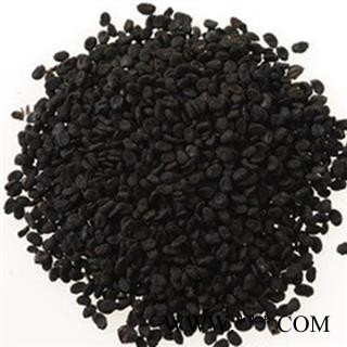 补骨脂 故脂 破故纸 破故脂 婆固脂 黑故纸产地 云南省昭通市巧家县 娟子中药图2